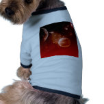 cosmos, dog clothes