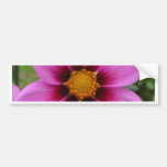 Cosmos Flower Bumper Sticker
