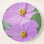 Cosmos flower drink coasters