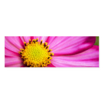 Cosmos Flower Skinny Business Card / Mini Bookmark business cards