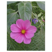 Cosmos Garden Scrapbook Paper letterhead