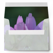 Cosmos in the Garden Envelope envelope