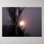 cosmos in the morning poster
