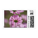 cosmos postage by Lisakoubou cosmos postage