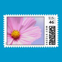Cosmos Postage Stamp stamps