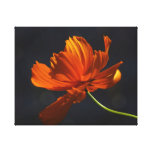 Cosmos Print- Jamiol's Art Cosmos Collection canvas prints