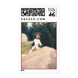 Cosmos Pup postage