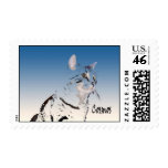 Cosmos Stamps