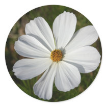 Cosmos stickers
