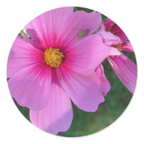 Cosmos Sticker by Just_For_Mom Cosmos Sticker
