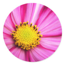 Cosmos Stickers by kerstitch Cosmos Stickers