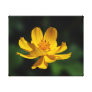 Cosmos Yellow - Jamiol's Art Cosmos Collection Gallery Wrapped Canvas