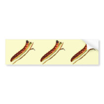 Cossus cossus caterpillar bumper stickers by FlutterByButterfly Cossus cossus caterpillar bumper stickers
