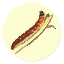 Cossus cossus caterpillar stickers