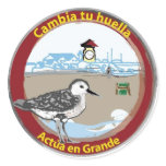 Costa Atlantica - Stickers