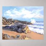Costa del Sur Print
