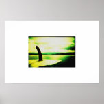 costa fin posters