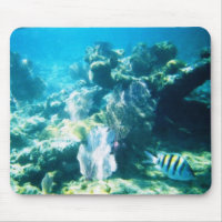 Costa Maya Reef Mousepad mousepad