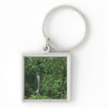 Costa Rica, Arenal Volcano area, Hanging Bridges