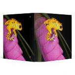 Costa Rica. Close-up of poison dart frog on Vinyl Binder
