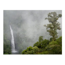 Costa Rica, cloud forest in mountains near La Post Cards
