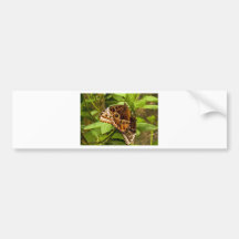 Costa Rica Color Bumper Stickers