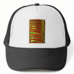 Costa Rica Color Pattern hats