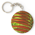 Costa Rica Color Pattern Keychains