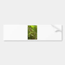 Costa Rica Color Patterns Bumper Sticker