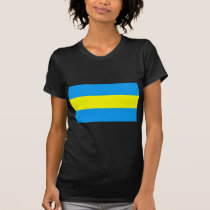 Click here to buy