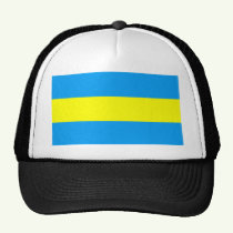 Click here to buy