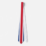 Costa Rica Flag Neck Ties