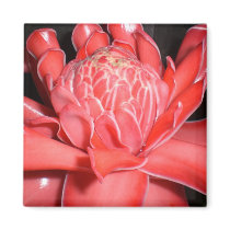 Costa Rica Flower Magnet
