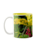 costa rica ginger mugs