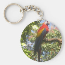 Costa Rica Macaw Key Chain