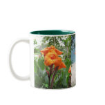 Costa Rica Mug