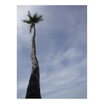 Costa Rica Palm #2 posters by bartrmred Costa Rica Palm #2 posters