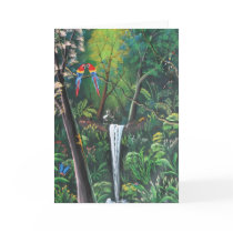 Costa Rica Rainforest cards by sbwilkinson Costa Rica Rainforest cards