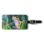 Costa Rica Tree Frog Bag Tag