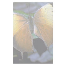 Costa Rican butterfly Stationery Paper