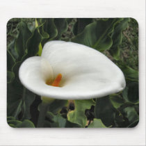 Costa Rican FLower mousepads