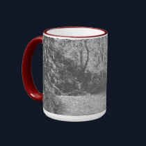 Costa Rican Forest Road mugs