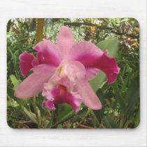 Costa Rican Orchid mousepads