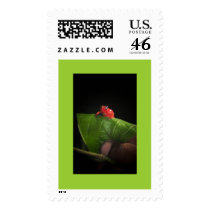 Costa Rican Prince postage by Katbody10 Costa Rican Prince postage