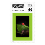 Costa Rican Prince Postage