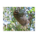 Costa Rican sloth postcards by jessiiicax3 Costa Rican sloth postcards