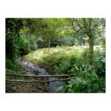 Costa Rican Tranquility posters