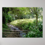 Costa Rican Tranquility Poster