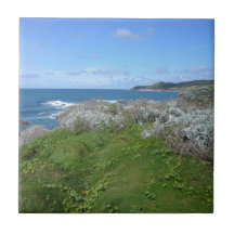 Costa rugosa azulejos ceramicos
