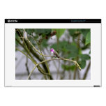 Costa's Hummingbird 15" Laptop Skin